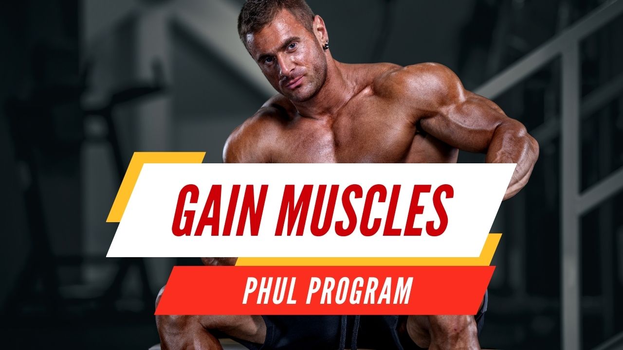 4-Day Workout Planner for Muscle Gain