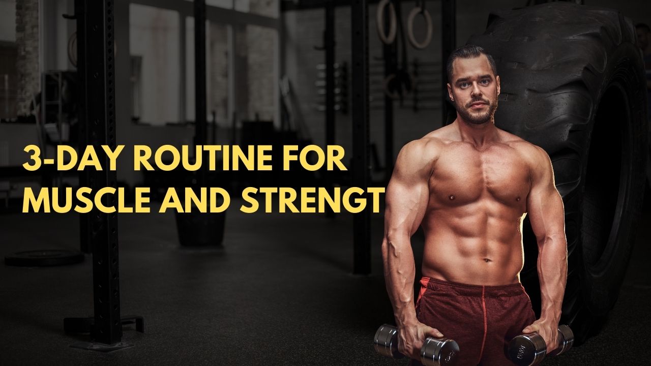 Full Body Workout Plan: 3-Day Routine for Muscle and Strength