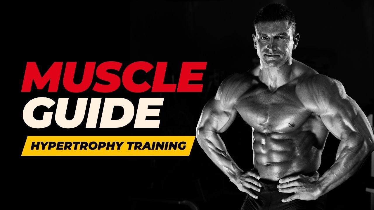 Hypertrophy Training: The Complete Muscle Growth Guide